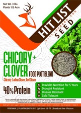 HIT LIST SEED  Chicory  Clover Food Plot Seeds for Deer Perennial - Deer Food