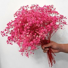 4000 Dried Babys Breath Flowers Bulk - 17.2" Ivory White Dried Flowers Bouquet