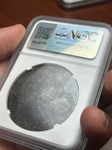 1734 Netherland 1 Ducaton Rider Vliegenthart Shipwreck NGC Graded Full Coin - Picture 6 of 7