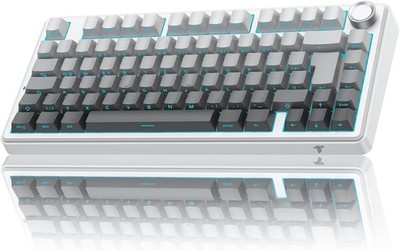 TECURS Gaming Tastatur Mechanische | 75% Hot-Swap Sideprinte Tastatur Kabellos