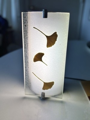 Ricky ADA Wall Sconce by Rockwell Group for Baldinger Collection. 3 Lens Options