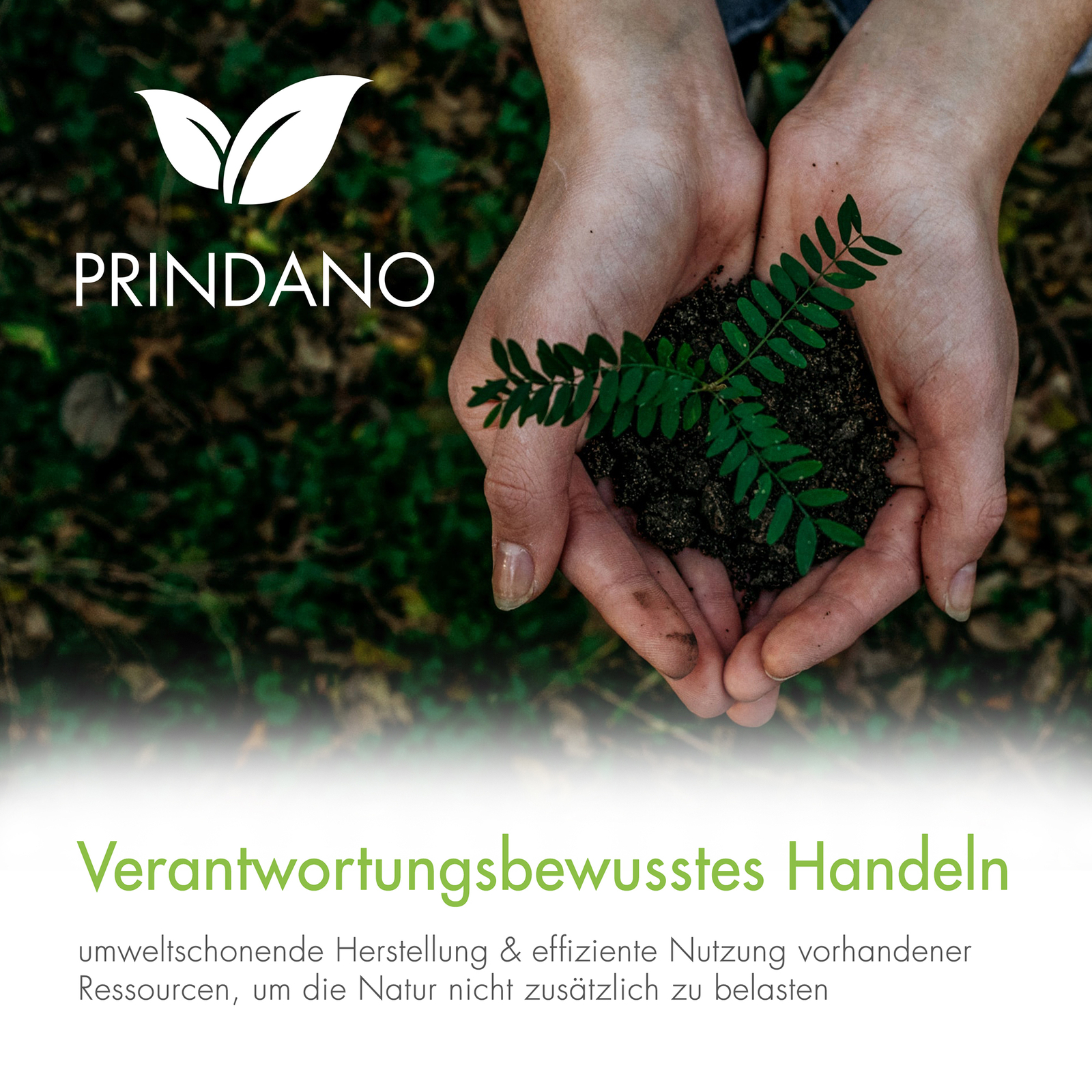 Bild 11 von 23