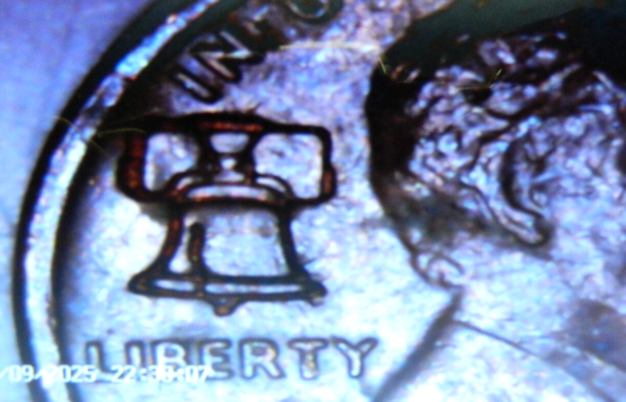 Picture 1 of 12