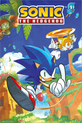 Sonic The Hedgehog - Gaming Poster (Sonic & Tails) (Size: 24'' x 36'')