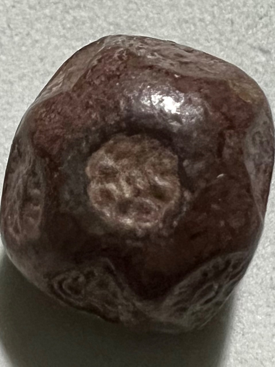 Picture 4 of 4