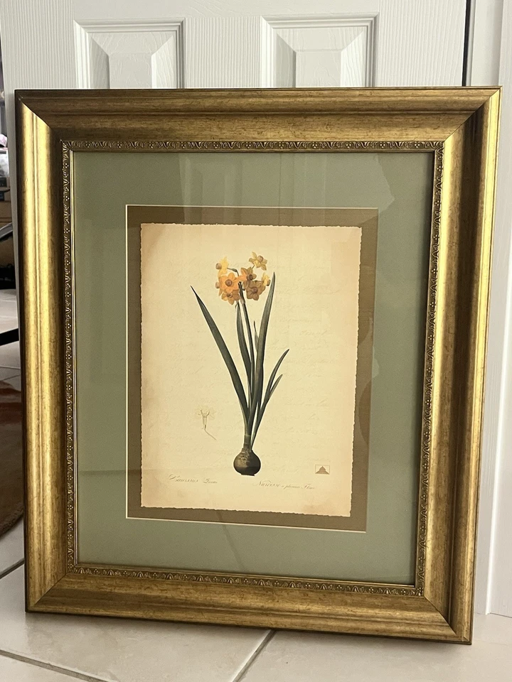 Impresiones enmarcadas en 4 colores Pierre-Joseph Redoute Jardín Botánico de Nueva York Foto 4 de 4