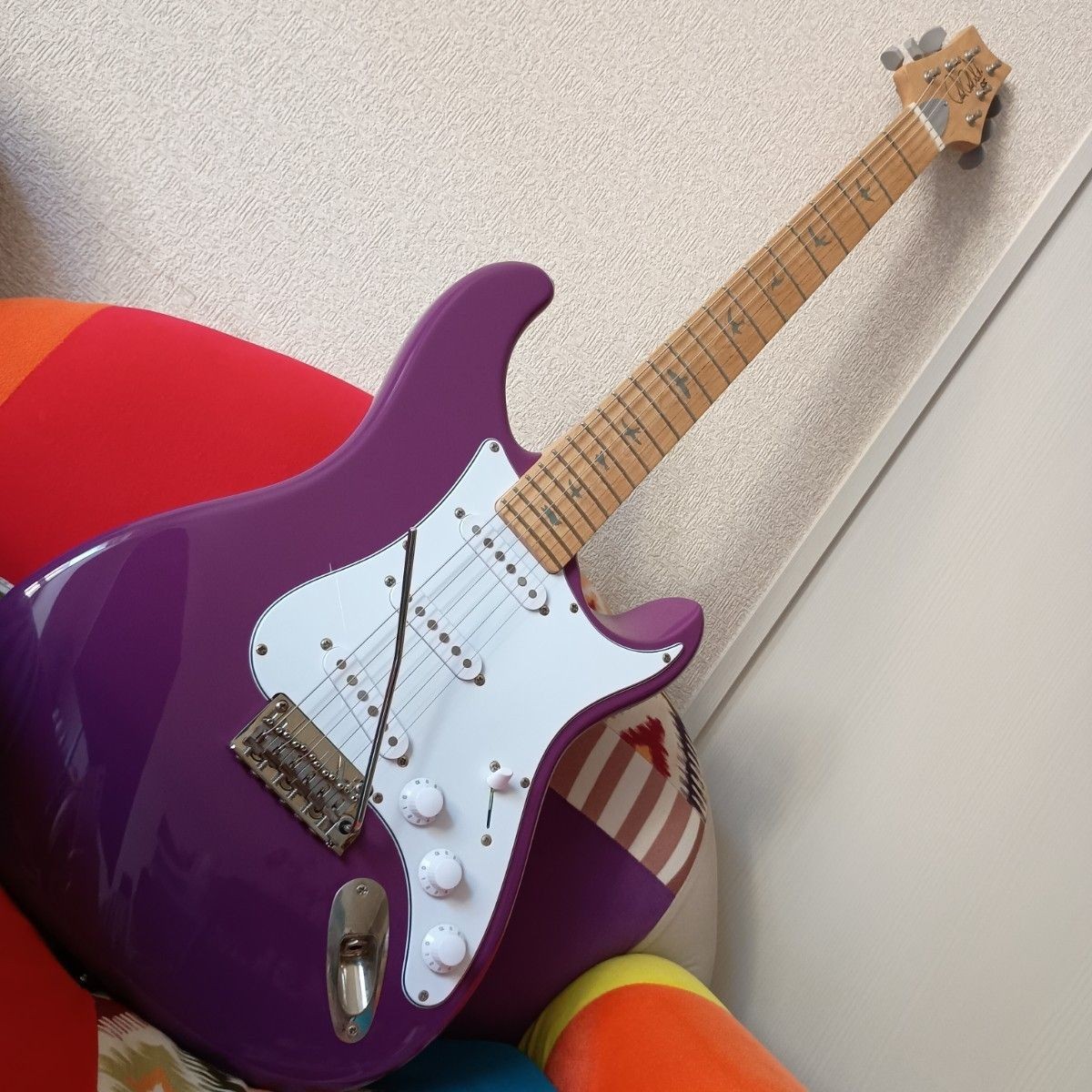 paul reed smith PRS SE Silver Sky Summit Purple