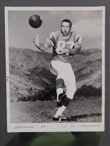 Vintage AFL Star 1966 Press Photo Lionel Taylor Denver Broncos - Picture 1 of 2