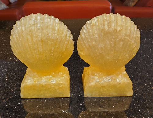 Clam Sea Shell Bookend Set Rare Translucent Capiz-Finish Nautical Beach Ocean - Foto 7 di 12
