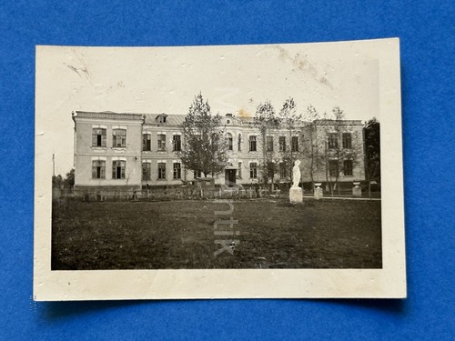 Foto, Innere Abteilung Lazarett in Maikop Ukraine 1941 XT55189