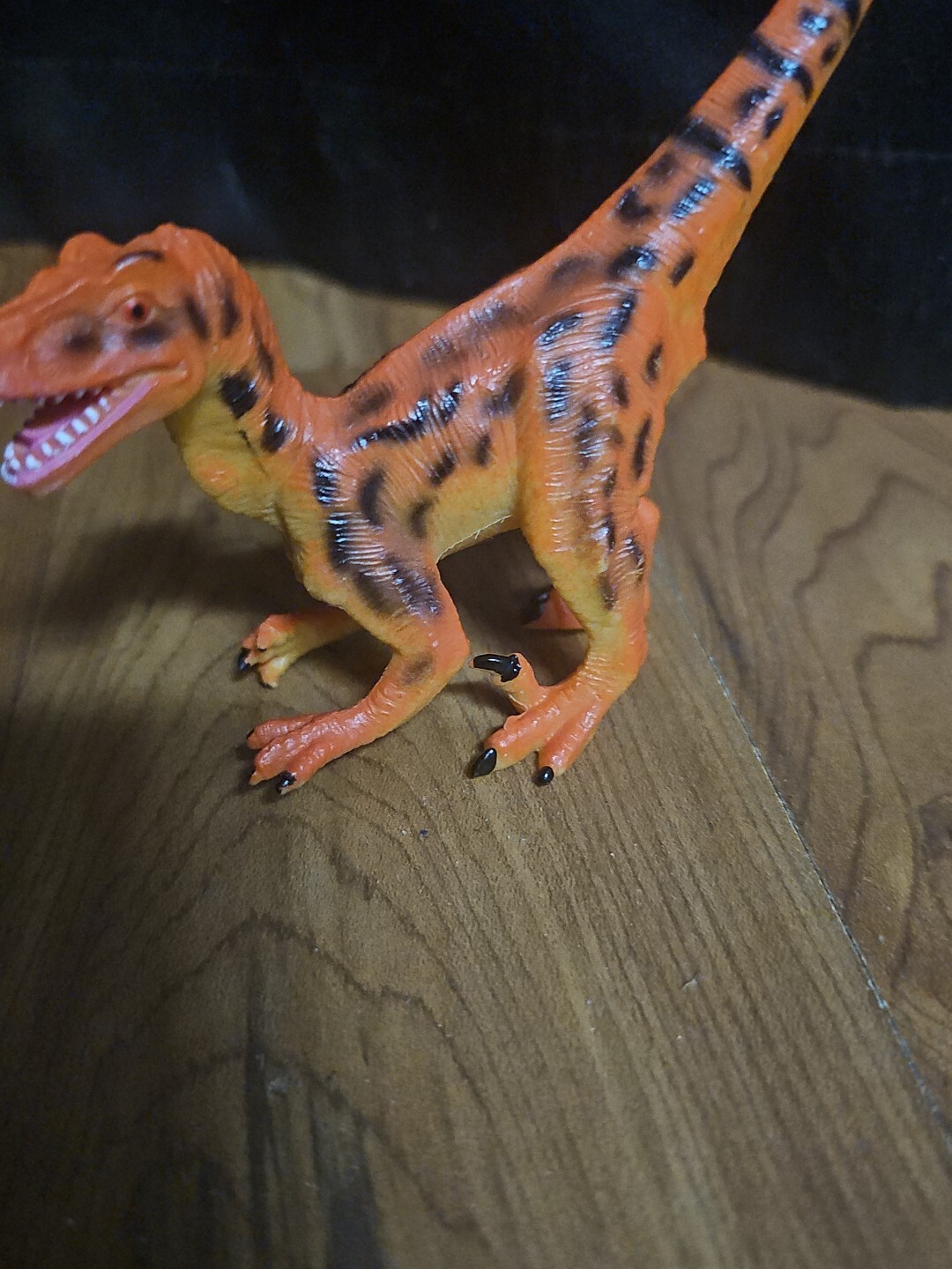 Picture 5 of 5
