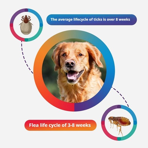 Pet Dog Deworming-Enduring Effect-Rapid Onset-Secure-Convenient - Four Types UK - Picture 10 of 16