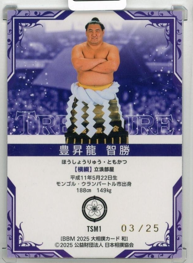 その他 Sumomo 2025 Tomokatsu Hoshoryu /25 BBM Sumo Treasure #TSM1 Yokozuna
