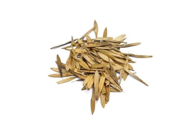 10 ADENIUM OBESUM HAPPY LILAC Seeds, Desert Rose + FREE - Image 2 of 2