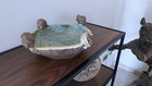 Bild 6 von 19