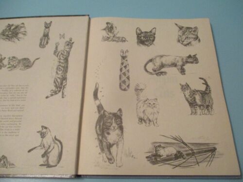 Album of Cats Vintage Hardcover Gladys Baker Bond Burridge 1971 1st Printing - Picture 2 of 4