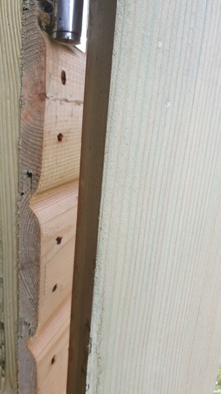 Picture 6 of 12