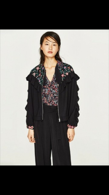 zara ethnic embroidered jacket