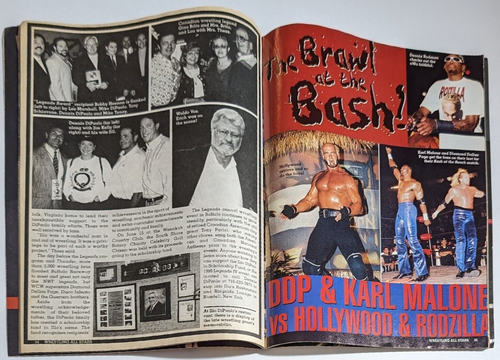 Wrestling All Stars Heroes & Villain's Goldberg Hulk Hogan November 1998 wwf wcw - Picture 3 of 6