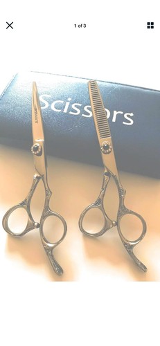 Professional Silver Titanium Barber Stylist Scissors Shears Japan Steel Set - Picture 2 of 2