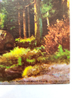 Bild 2 von 7
