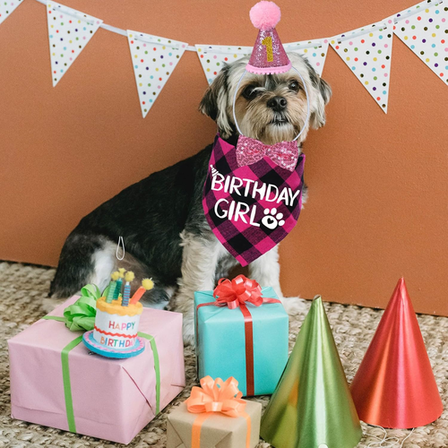 Dog Birthday Party Supplies, Multi Sizes Dog Birthday Hat with Numbers Bandana B - Picture 2 of 7