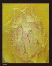 16x20 - Mounted Giclee FotoArt Print by Warner