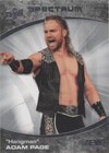 2021 Upper Deck AEW Spectrum - Adam Page #10