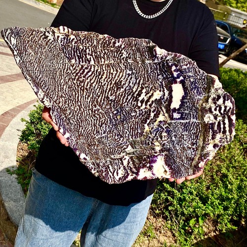 10.1LB Natural agate, zebra stone, crystal mineral, cut and polished in flakes - Imagen 9 de 12