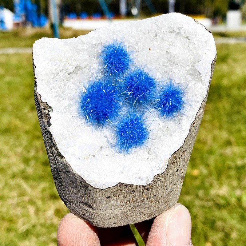 306g Rare blue velvet needle and quartzite symbiotic mineral