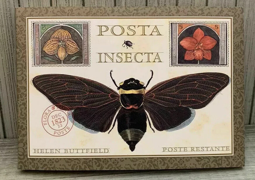 Foto 1 di 11