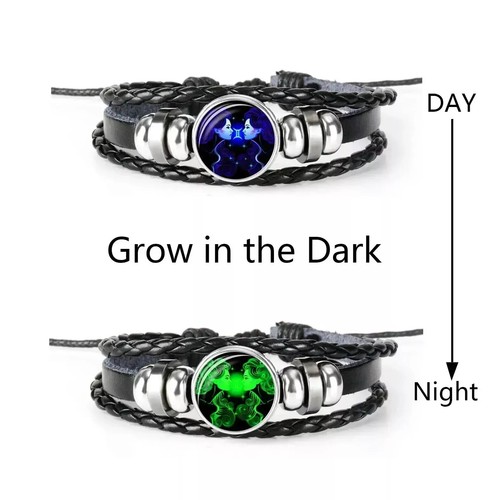Zodiac Sign Spirit Bracelet Manifest Your Desires The Desire Horoscope Gift 2025 - Picture 17 of 36