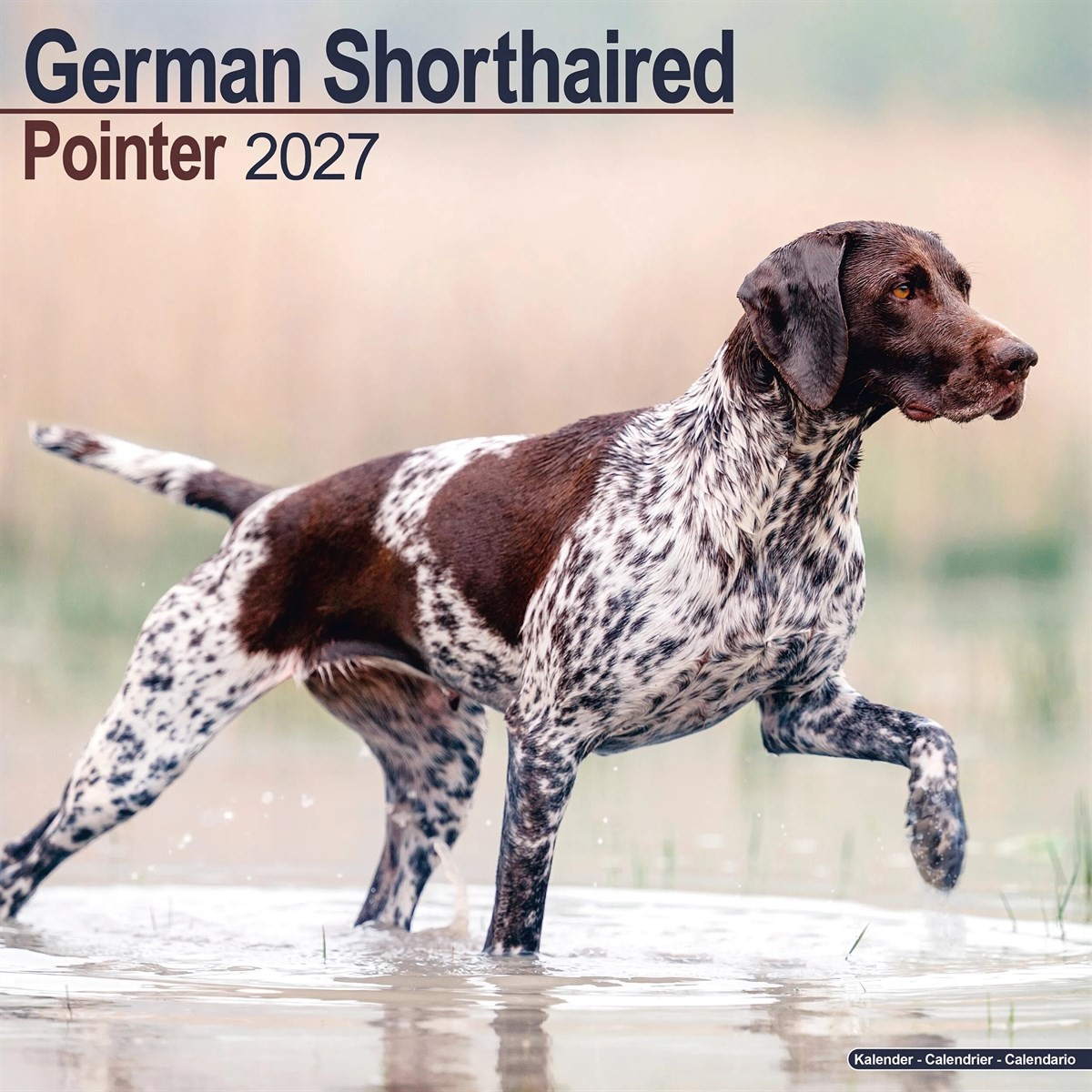 German Shorthaired Pointer Calendar 2027, Wall Calendars, Month To View, Gift