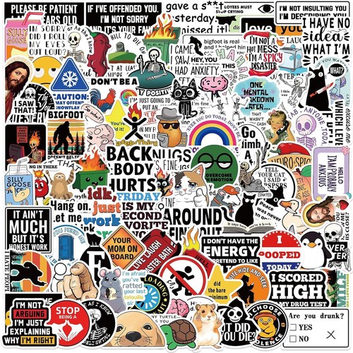 100 Pcs Funny Stickers for Adults (Dirty) Prank Meme Water Bottles Fmeme
