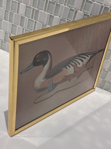 Señuelo de caza de patos firmado impresión de bellas artes, Carol J Latta, regalos raros de decoración de naturaleza - Imagen 6 de 8
