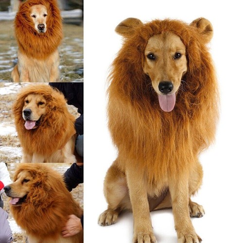 Big Dog Costume Lion Mane Wig m/ears Pet Neck Costume - Picture 2 of 12