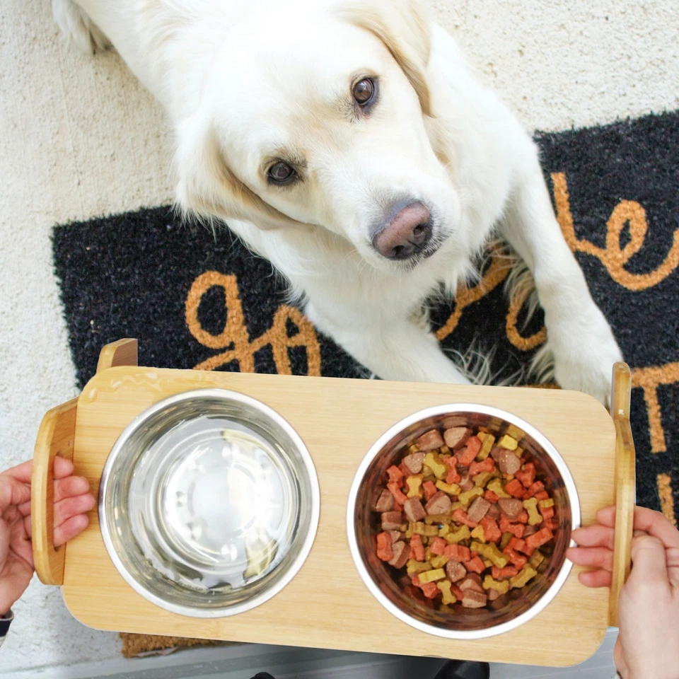 4 SCHALEN: Hundenapf kleine Hunde - Katzennapf erhöht 40x18x15 Bambus Futternapf - Bild 4 von 4