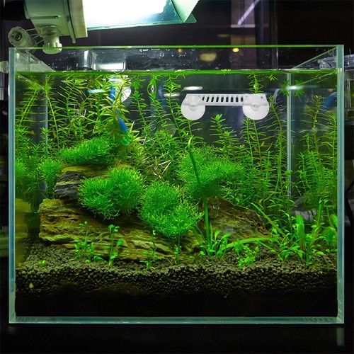 2 Piezas Descanso Cama Peces Descanso Acuario Accesorios Temático Decoraciones - Imagen 10 de 12
