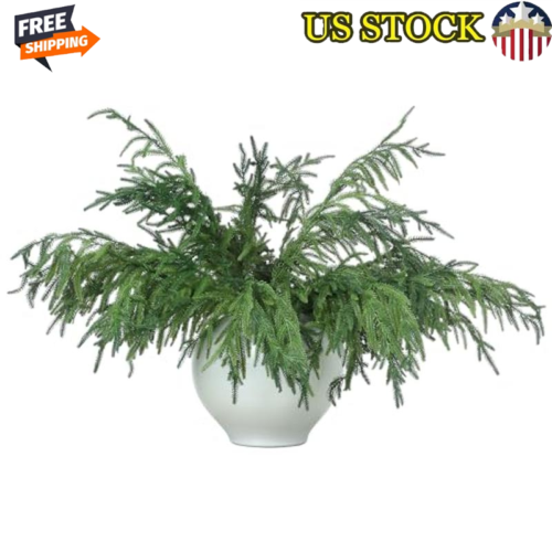 12 Pcs Norfolk Pine Faux Branches Christmas Decor DIY Crafts Indoor Outdoor New