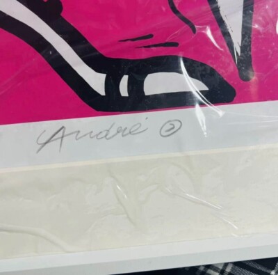 André & Futura 版画 Chez Nous (Pink) André & Futura Silkscreen Edition Autographed Framed Chez