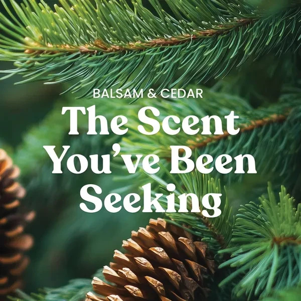 20oz-signature-large-tumbler-candle-yankee-candle-ebay