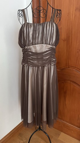 Brown Gold Chiffon Sleeveless Knee Length Ruched Fit & Flare Dress Size 16 BNWT