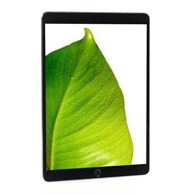 iPad Pro 10.5インチ 512GB Wi-Fi + Cellular（SIMフリー）Apple