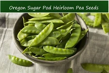 Vegetble Seeds- Peas-Oregon Sugar Pod II Pea -100 Heirloom Seeds!