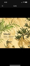 Sprig by Kohler Shield Aromatherapy Candle with Tea Tree and Rosemary - 8 oz