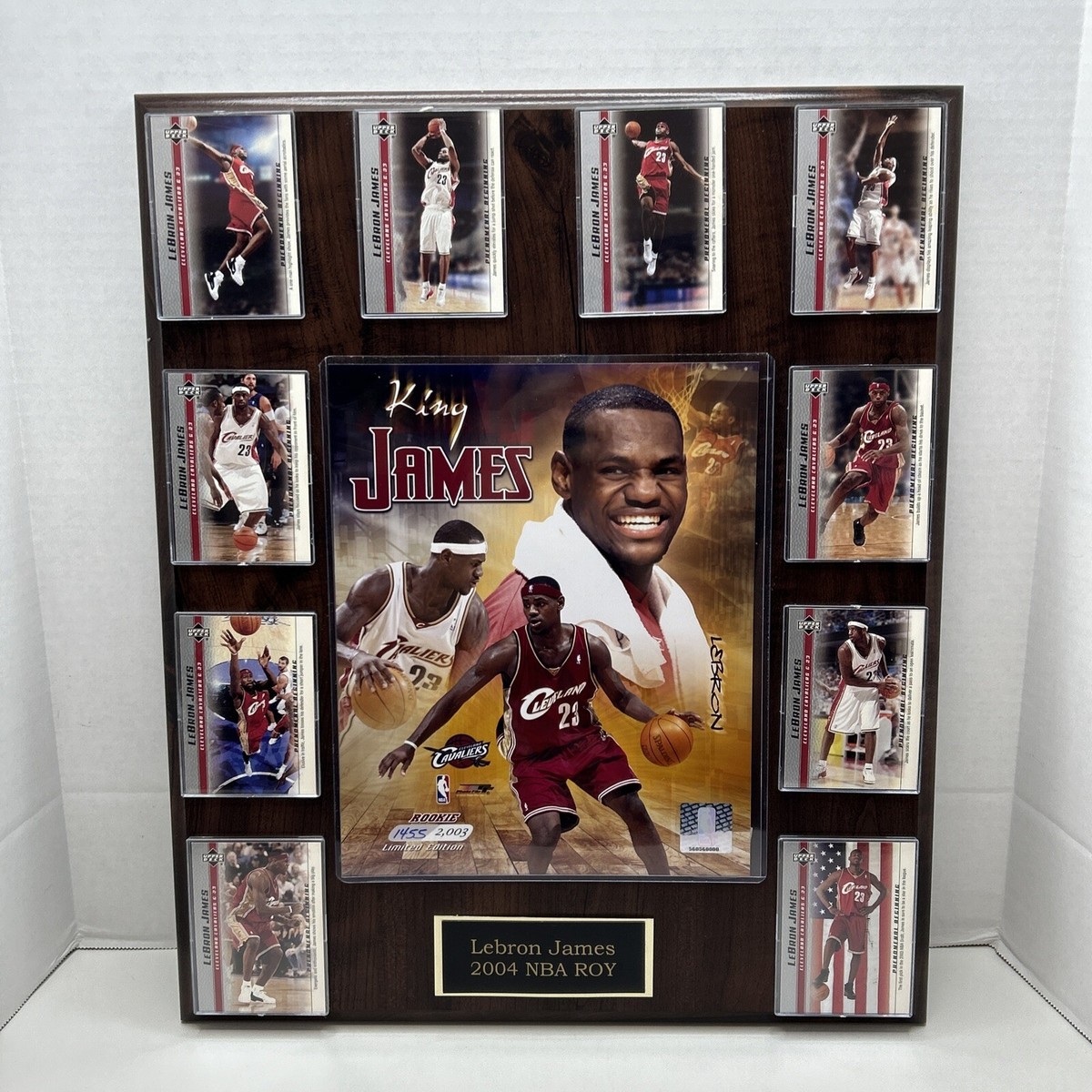 LeBron James Cavs Framed 15x18 Plaque 2004 NBA ROY /2003 Limited