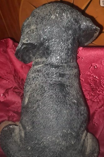 Castagna Rottweiler Statue Puppy Dog Rottie Made Italy Infrangible Line - Bild 7 von 8