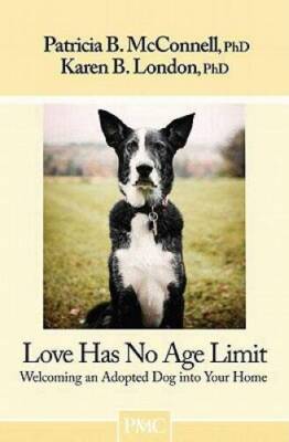 Love Has No Age Limit-Welcoming an Adopted Dog into Your Home - Paperback - GOOD