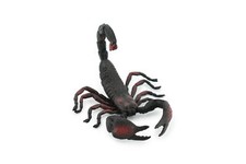 Scorpion, Black and Red, Realistic Toy Model, Figurine, Gift, 4" CH184 BB113