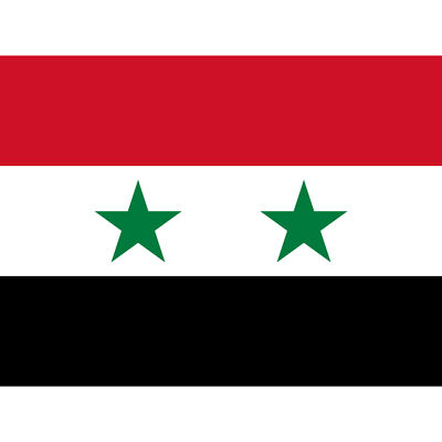 Syrian Arab Republic National Flag Country Canvas Poster Print Picture Wall Art